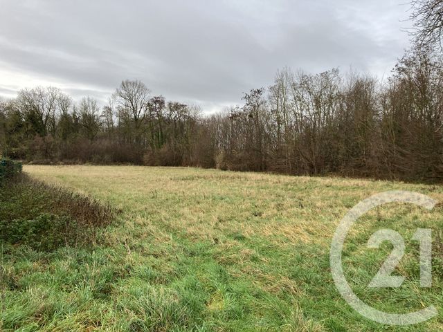 maison à vendre - 7 pièces - 143.2 m2 - POGNY - 51 - CHAMPAGNE-ARDENNE - Century 21 Martinot Immobilier