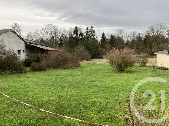 Terrain à vendre POGNY