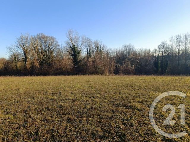 terrain à vendre - 1200.0 m2 - VATRY - 51 - CHAMPAGNE-ARDENNE - Century 21 Martinot Immobilier
