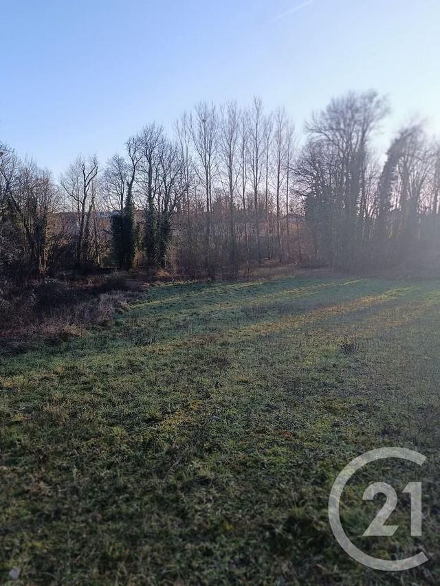 terrain à vendre - 4223.0 m2 - VATRY - 51 - CHAMPAGNE-ARDENNE - Century 21 Martinot Immobilier