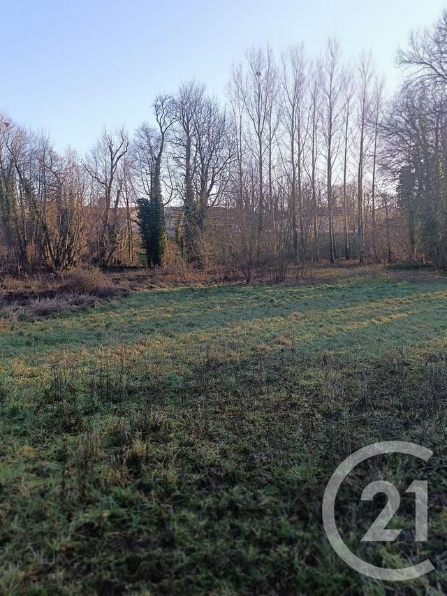 terrain à vendre - 4223.0 m2 - VATRY - 51 - CHAMPAGNE-ARDENNE - Century 21 Martinot Immobilier