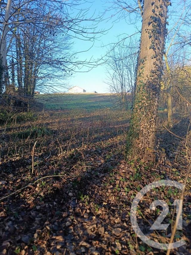 terrain à vendre - 4223.0 m2 - VATRY - 51 - CHAMPAGNE-ARDENNE - Century 21 Martinot Immobilier