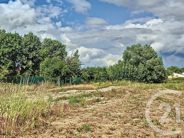 Afficher la photo en grand terrain à vendre - 2500.0 m2 - ST MEMMIE - 51 - CHAMPAGNE-ARDENNE - Century 21 Martinot Immobilier