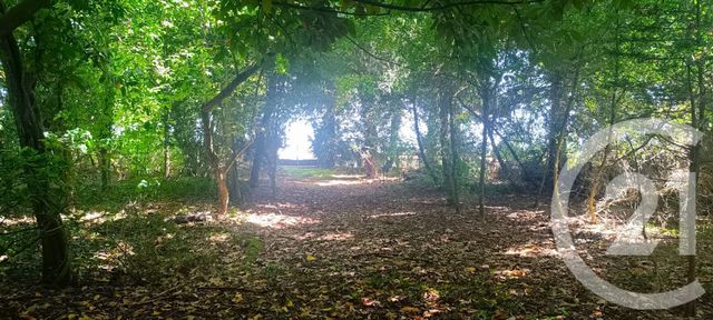 maison à vendre - 8 pièces - 270.25 m2 - VILLERS LE SEC - 51 - CHAMPAGNE-ARDENNE - Century 21 Martinot Immobilier