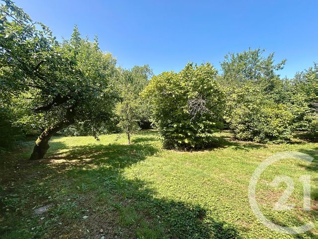 maison à vendre - 8 pièces - 302.52 m2 - ST AMAND SUR FION - 51 - CHAMPAGNE-ARDENNE - Century 21 Martinot Immobilier