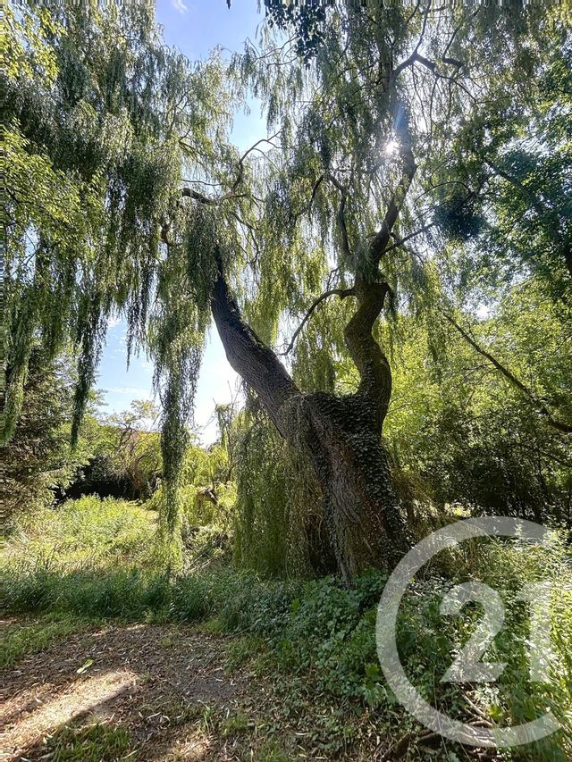 maison à vendre - 8 pièces - 302.52 m2 - ST AMAND SUR FION - 51 - CHAMPAGNE-ARDENNE - Century 21 Martinot Immobilier