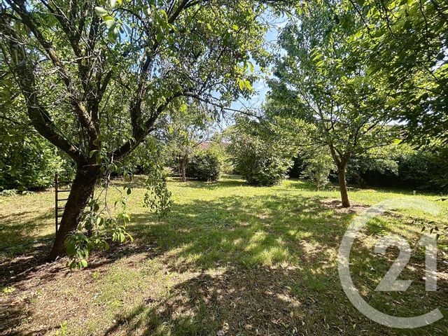 maison à vendre - 8 pièces - 302.52 m2 - ST AMAND SUR FION - 51 - CHAMPAGNE-ARDENNE - Century 21 Martinot Immobilier