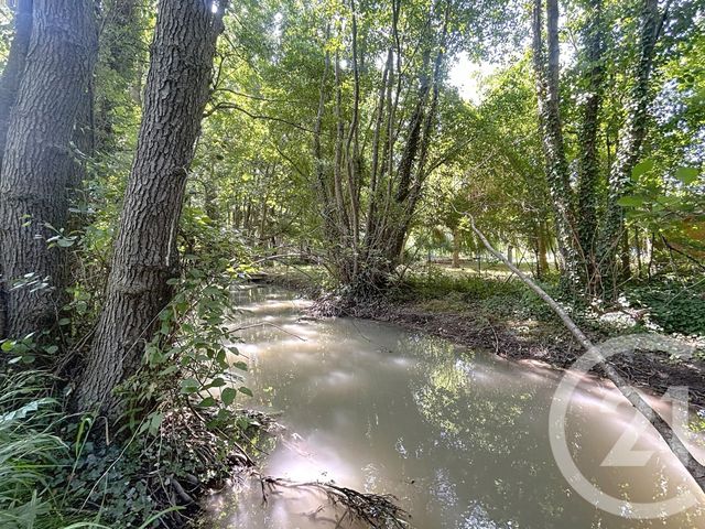 maison à vendre - 8 pièces - 302.52 m2 - ST AMAND SUR FION - 51 - CHAMPAGNE-ARDENNE - Century 21 Martinot Immobilier