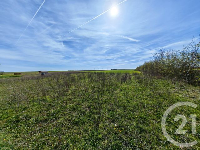 terrain à vendre - 1252.0 m2 - BREUVERY SUR COOLE - 51 - CHAMPAGNE-ARDENNE - Century 21 Martinot Immobilier