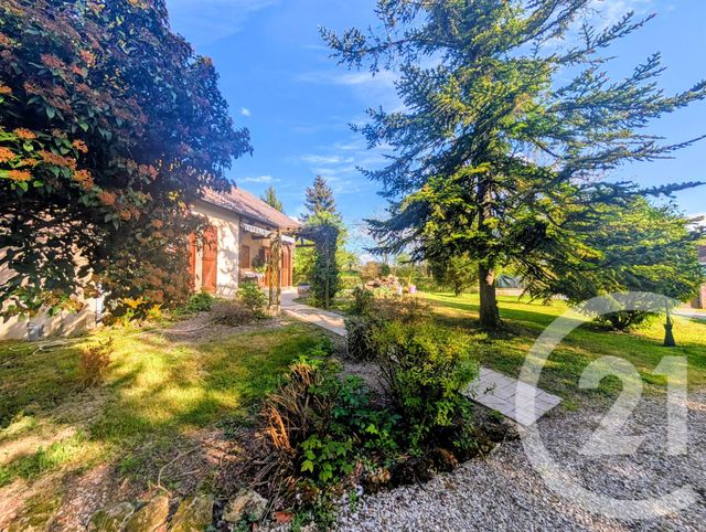 maison à vendre - 6 pièces - 179.5 m2 - LA CHAUSSEE SUR MARNE - 51 - CHAMPAGNE-ARDENNE - Century 21 Martinot Immobilier